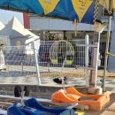 해송분식 | 강화도 놀거리 스피드를 즐길 수 있는 액티비티 강화루지