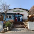 카페나무 이미지