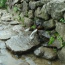 반야봉산장 이미지