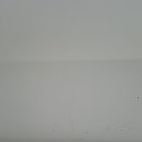 순천덕진의봄 이미지