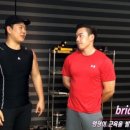 트레이닝브릿지 이미지
