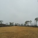 비비정 상생 도시숲 이미지