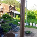 속리산둘레길 보은길4 이미지