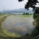 대농리마을회관 이미지