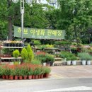 시장꽃도소매