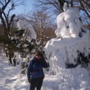 신묘년 제주도 한라산 등반기 1월 21일 이미지