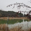 수원-1171 이미지