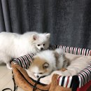 개편한집 - 강진군 중앙로 88 | 개편한집