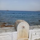 리틀미코노스6 이미지