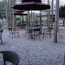 남이섬 봄펜션 이미지