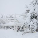 대관령밧데리 이미지