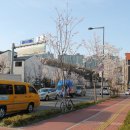 광교호수로386번길 이미지