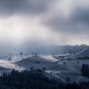 영문번역행정사사무소 이미지