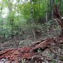 일요농장 이미지