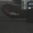 08-09 25살 보통 남자 의 인도 여행 1 - 부산, 홍콩, 델리 (12/23~24) 이미지