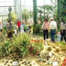 서탄초등학교 | 2011년 12월 23일 오후 5시 10분에 저장한 글입니다.