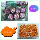 아내의 텃밭 이미지