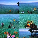 함평대중목욕탕 | 생기발랄 대규모 싸이먼투어 &lt;시월의 어느 멋진 날에&gt; - Chapter 2 &#34;첨벙첨벙호핑 (구. 일몰호핑)과...