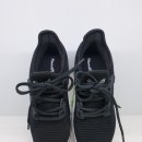 슈올즈 괴정점 이미지