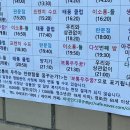 꿈꾸는 가 이미지