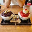 동빙고