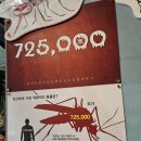 여주하늘정원 | 여주곤충박물관 팝업스토어 NC강서점 솔직후기(내돈내산)