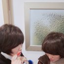 김호가발·탈모두피