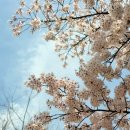 봉추찜닭 롯데월드몰 이미지