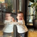 오 마이 리틀베이비 | [돌잔치]로얄호텔서울 그랜드 키친 오마이베이비 돌스냅 촬영후기