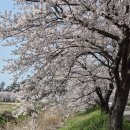 용동농장 Daum카페