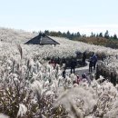 화산제 이미지