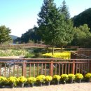 용소웰빙공원 이미지