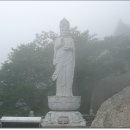 남해-33 Daum카페