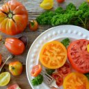 연세숲내과의원 이미지