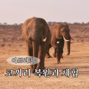 자블라니 | 아프리카 사파리 코끼리 체험: 아마룰라의 모델이 된 코끼리, 리조트의 사회공원 복원사업