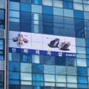 대전의료기센터 이미지