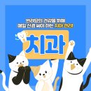 올바른동물병원 이미지