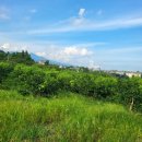 여미지공인중개사사무소 이미지