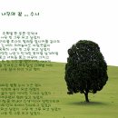 나무의꿈 이미지