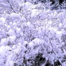 이제산성