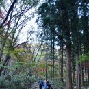 추월산우리별장 | 입암산(654.3m)~백암산(741m) - 전남 장성