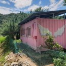 대동강초계탕 이미지