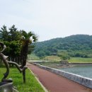 선소체육공원 이미지