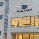 블랙웨일즈(BLACK WHALES)