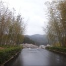 후쿠이 5 - 영평사에서 대나무마을 에치젠타케닌교노사토! 이미지