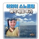 하와이 거북이 스노쿨링 돌고래 크루즈 예약 동시 체험 후기