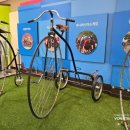 오정식물원 이미지