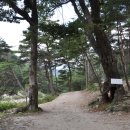 부전계곡(하) 이미지