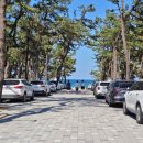 연곡약국 이미지