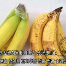 예진아씨